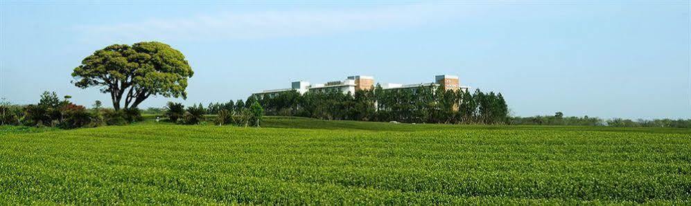 Jeju Aerospace Hotel Seogwipo Exteriör bild