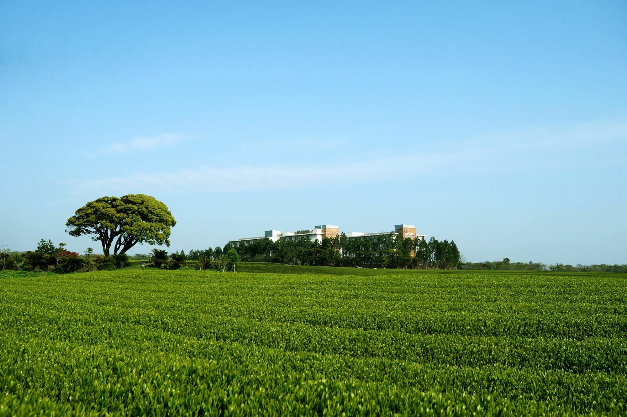 Jeju Aerospace Hotel Seogwipo Exteriör bild